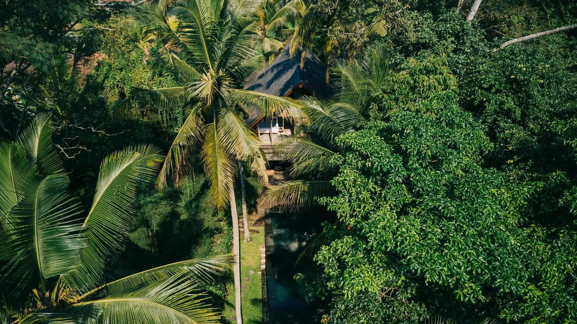 Secluded Jungle Getaway location